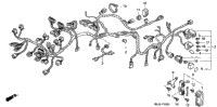 Wire Harness (2)