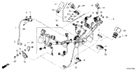 Wire Harness