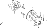 Front Brake Panel 81-82