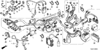 Wire Harness (1)