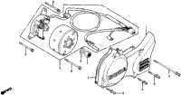 Left Crankcase Cover + Alternator 80-82