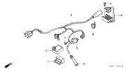Wire Harness