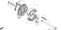 Rear Brake Panel