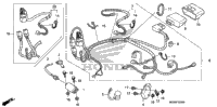 Wire Harness