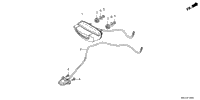 Taillight@License Light