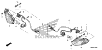 Front Turn Signal