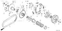 Driven Face