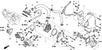 Water Pump 98-03