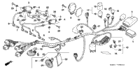 Wire Harness