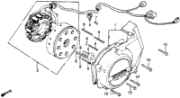 Left Crankcase Cover + Alternator