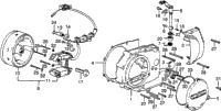Left Crankcase Cover + Alternator