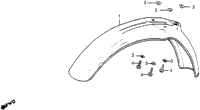 Front Fender