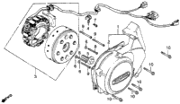 Left Crankcase Cover + Generator