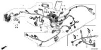 Wire Harness (2)