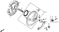 Front Brake Panel 80-82