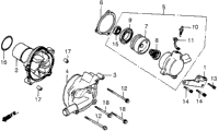 Water Pump
