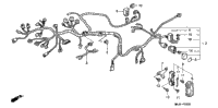 Wire Harness (1)