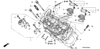 Cylinder Head (Fr.)
