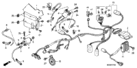 Wire Harness