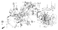 Wire Harness