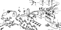 Wire Harness (2)