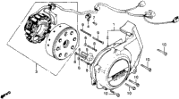 Left Crankcase Cover + Alternator