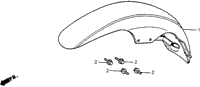 Front Fender