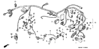Wire Harness