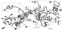 Wire Harness (St1300)