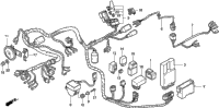 Wire Harness