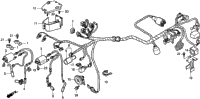 Wire Harness