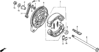 Rear Brake Panel