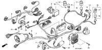 Wire Harness (Rr.)
