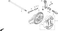 Rear Brake Panel