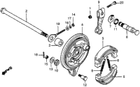 Rear Brake Panel