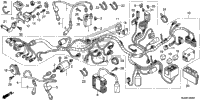 Wire Harness (1)