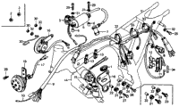 Wire Harness + Ignition Coil + Horn 76,78