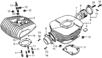 Cylinder + Cylinder Head