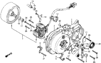 Left Crankcase Cover + Alternator 81-86