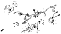 Wire Harness