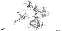Oil Pan@Oil Pump