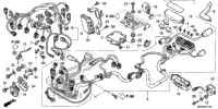 Wire Harness