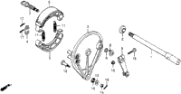 Rear Brake Panel