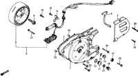 Left Crankcase Cover + Alternator 81-82