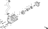 Water Pump
