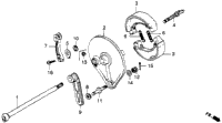 Rear Brake Panel 78-81