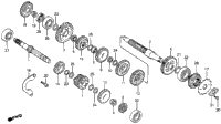 Transmission 83-84