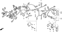 Wire Harness