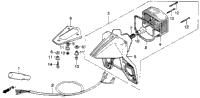 Taillight 78-81