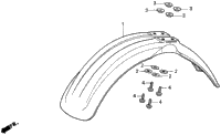 Front Fender